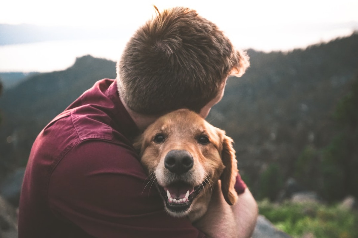 Titelbild zu „Was haben Mensch und Hund im Alter gemeinsam?“