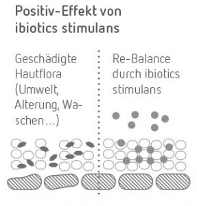 gesicht-hautpflege-creme