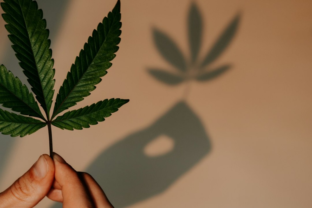 Titelbild zu „Medizinisches Cannabis: Wann lohnt sich eine Therapie wirklich?“